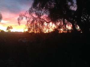 Sunrise from my backyard